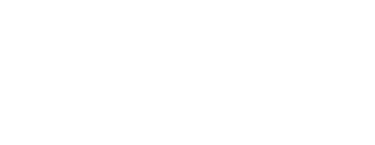 Natural Connections logo Natural Connections logo